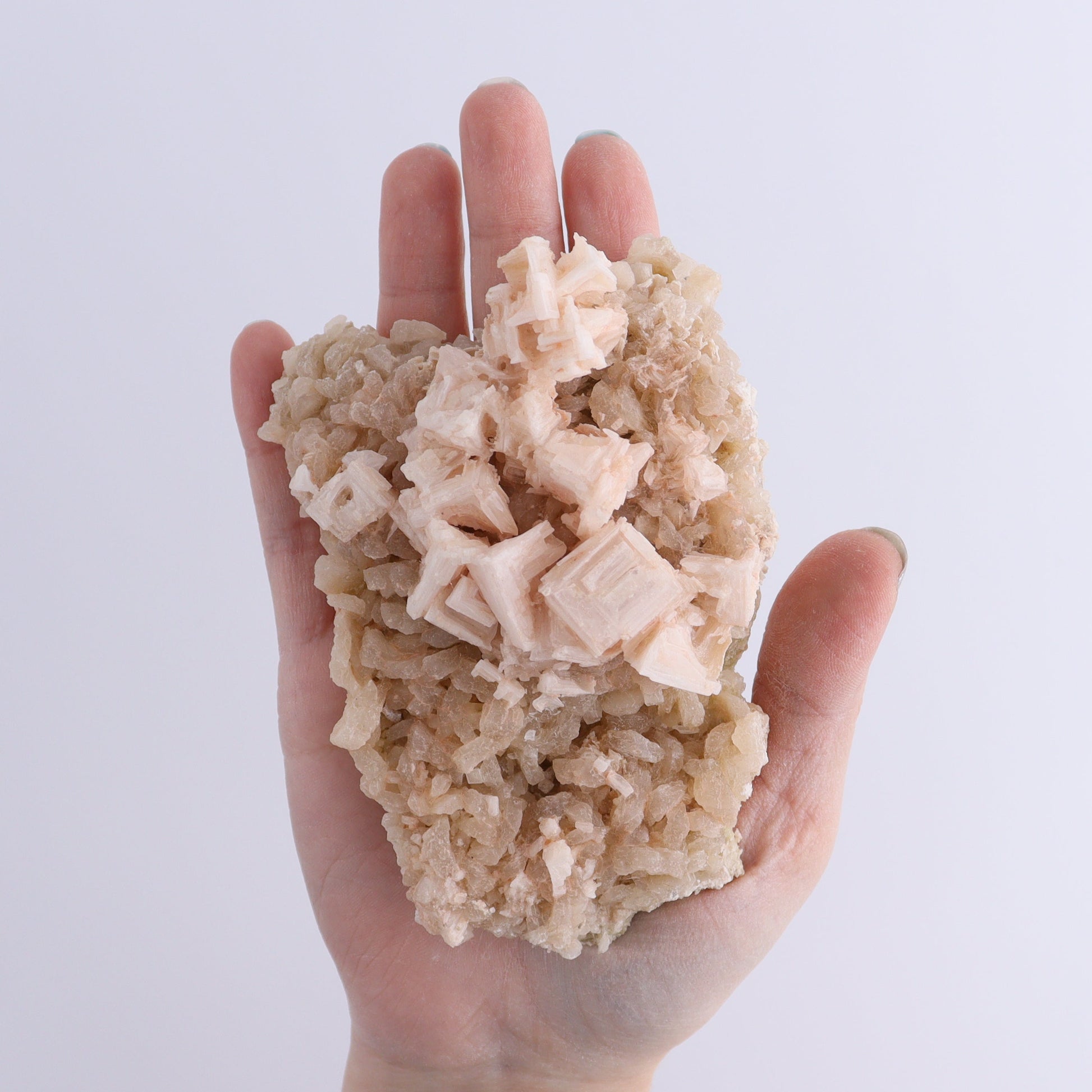 Halite on Trona from Owens Lake Set of 6 - Expert Wholesale and Supplier of Wholesale Crystals & Bulk Gemstones, ["California","Flats","Halite","halite on trona","Pink Halite","United States"]