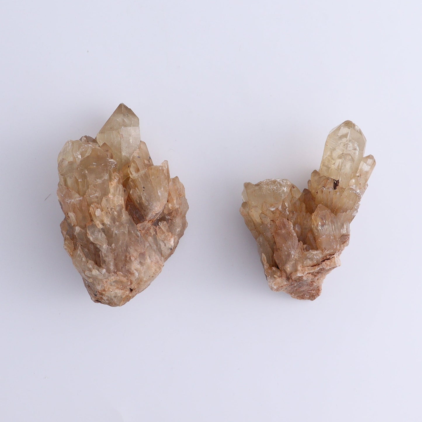 Congo Citrine Set of 6 - Expert Wholesale and Supplier of Wholesale Crystals & Bulk Gemstones, ["Citrine","Congo","Rough","Roughs"]