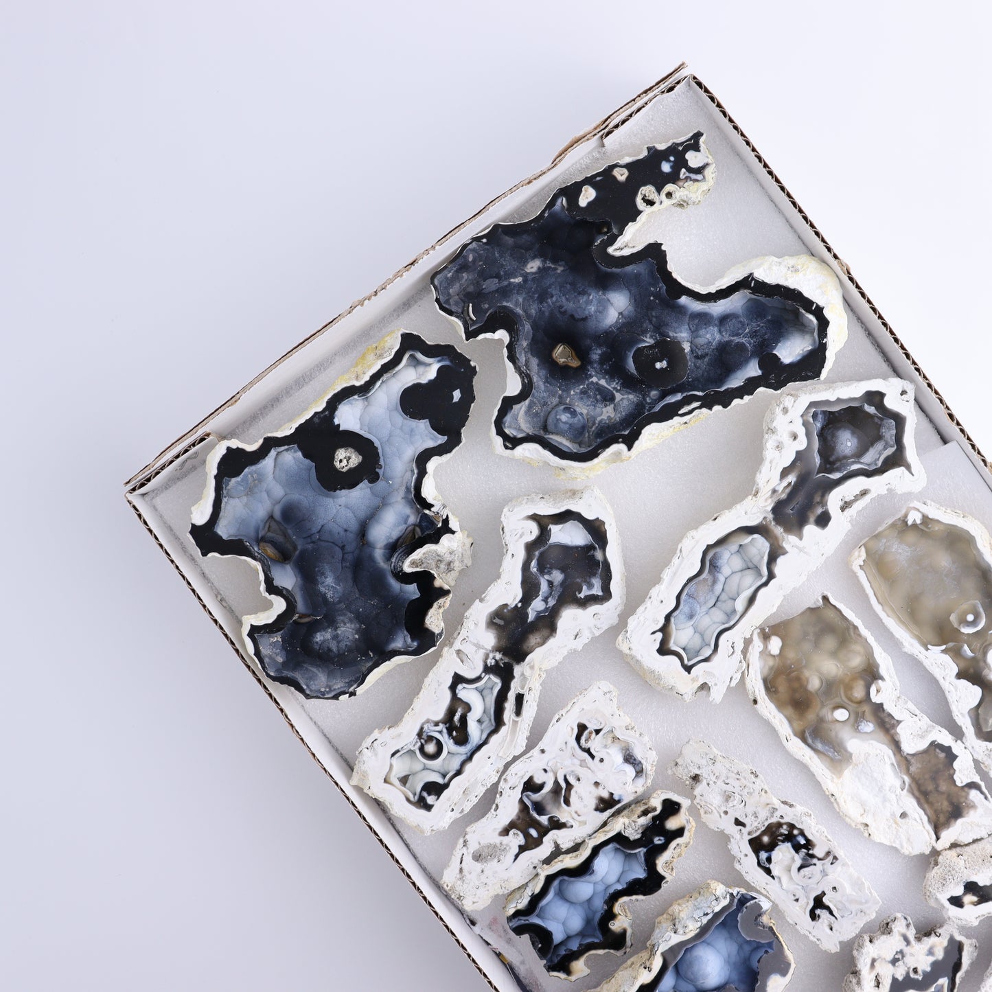 Agatized Coral Flat - Expert Wholesale and Supplier of Wholesale Crystals & Bulk Gemstones, ["Agate","Agatized Coral","Coral","United States"]