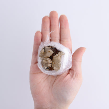 Cerussite Barite from Morocco Flat - Expert Wholesale and Supplier of Wholesale Crystals & Bulk Gemstones, ["Cerussite Barite","Flats","Morocco"]