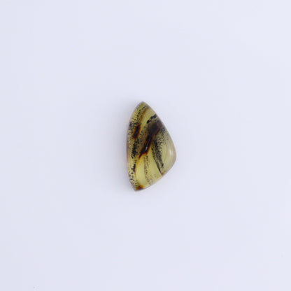 Chiapas Mexico Amber Cabs Set of 8 - Expert Wholesale and Supplier of Wholesale Crystals & Bulk Gemstones, ["Amber","Cabs","Chiapas Amber","Mexico"]