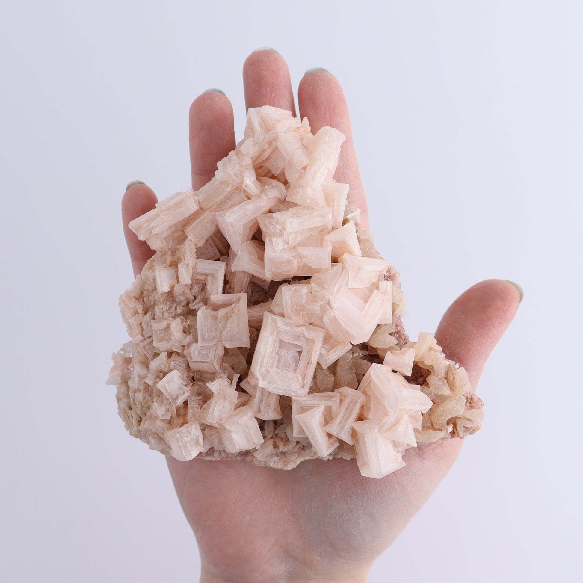 Halite on Trona from Owens Lake Set of 6 - Expert Wholesale and Supplier of Wholesale Crystals & Bulk Gemstones, ["California","Flats","Halite","halite on trona","Pink Halite","United States"]