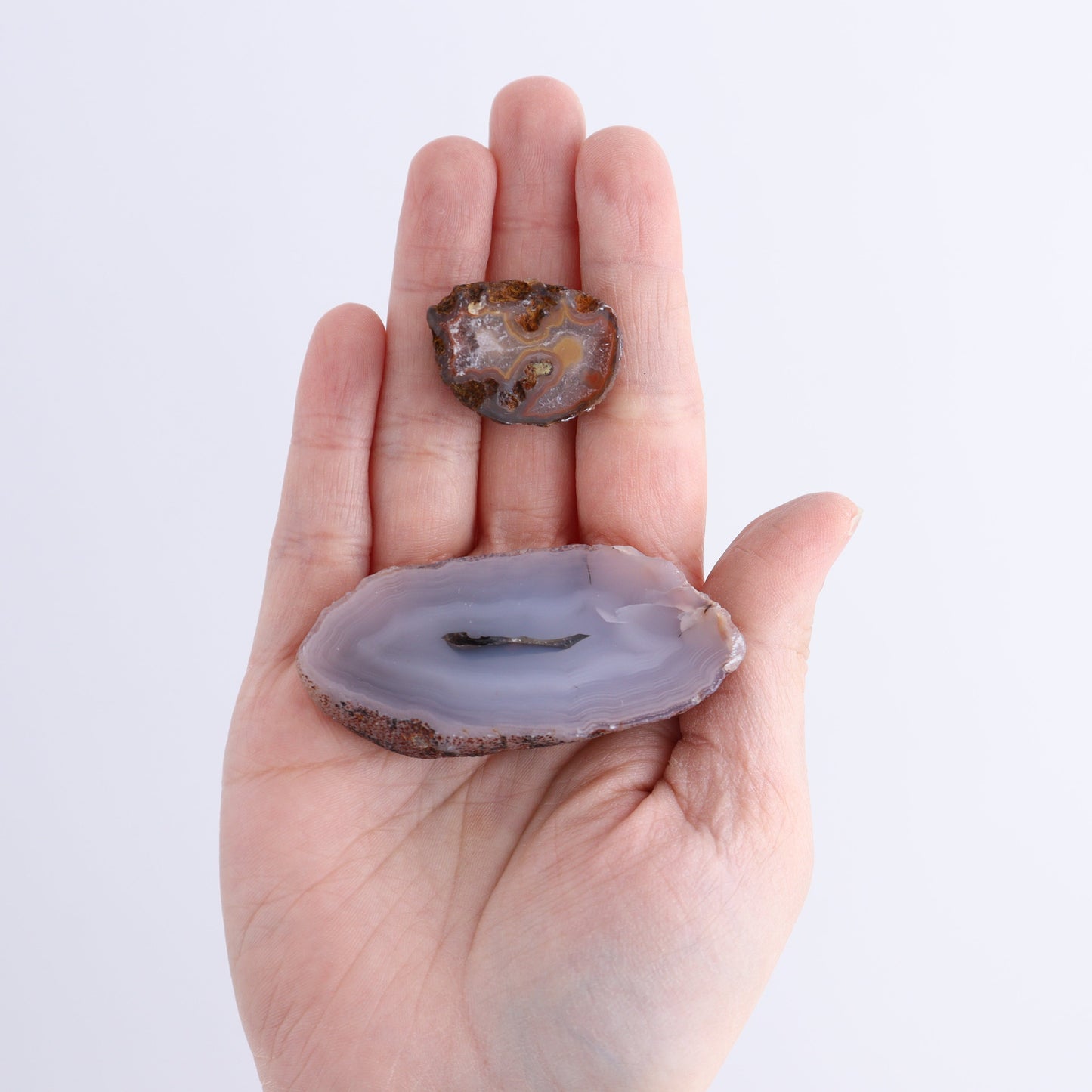 Coyamito Agate Geodes from Mexico Set of 8 - Expert Wholesale and Supplier of Wholesale Crystals & Bulk Gemstones, ["Agate","Coyamito Agate","Geodes","Mexico"]