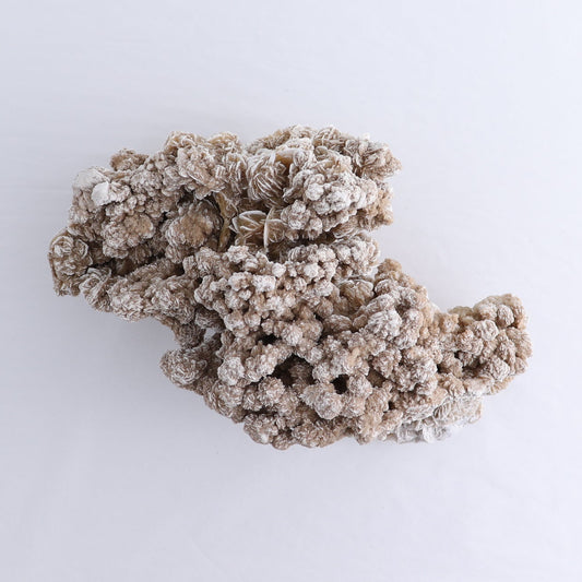 Desert Rose Set of 2