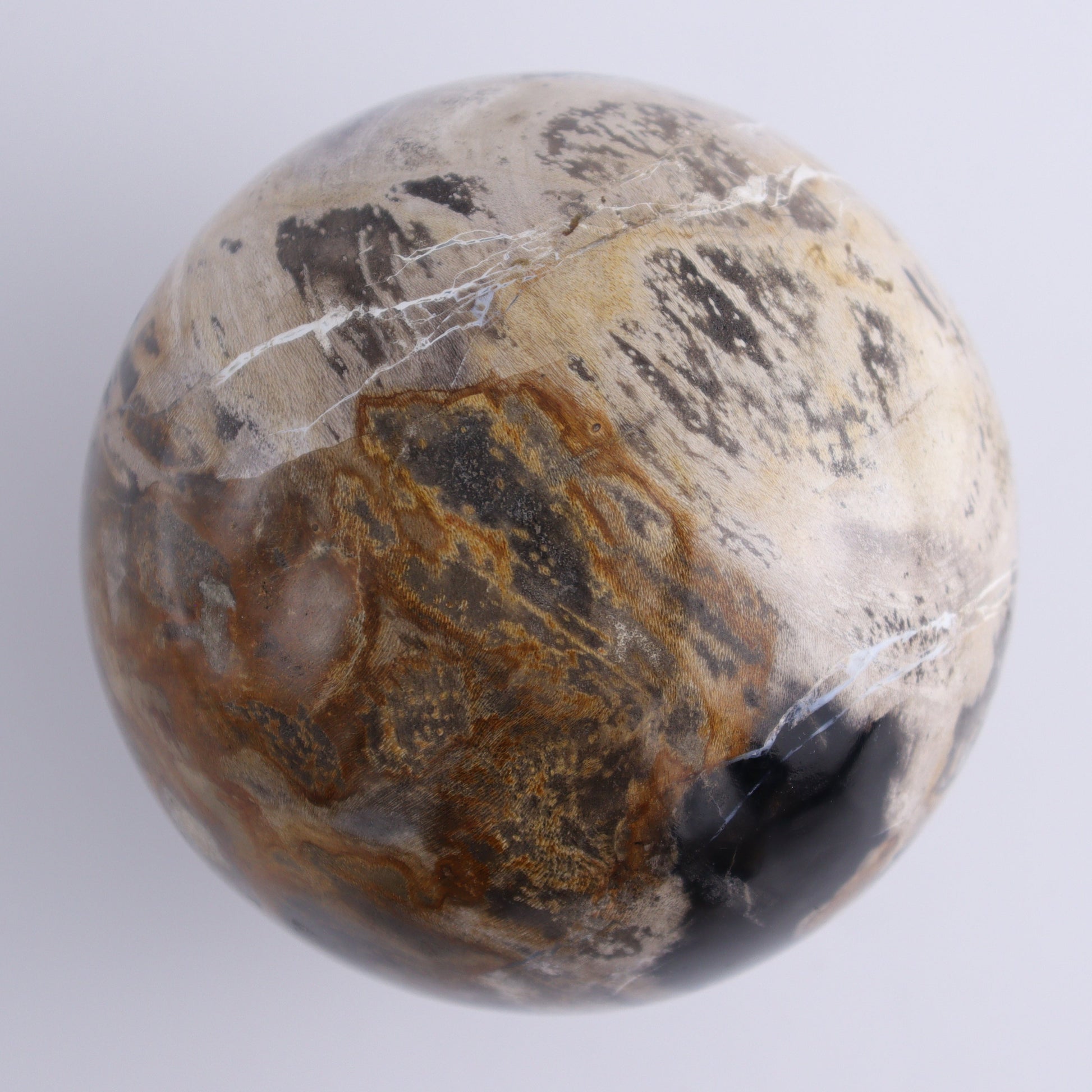 Petrified Wood Spheres Set of 3 - Expert Wholesale and Supplier of Wholesale Crystals & Bulk Gemstones, ["Indonesia","Petrified Wood","Spheres"]