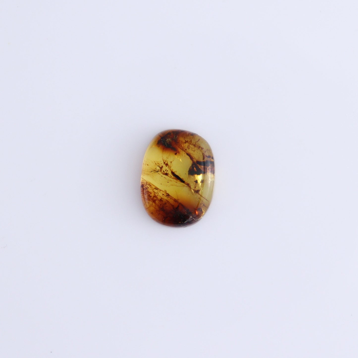 Chiapas Mexico Amber Cabs Set of 8 - Expert Wholesale and Supplier of Wholesale Crystals & Bulk Gemstones, ["Amber","Cabs","Chiapas Amber","Mexico"]