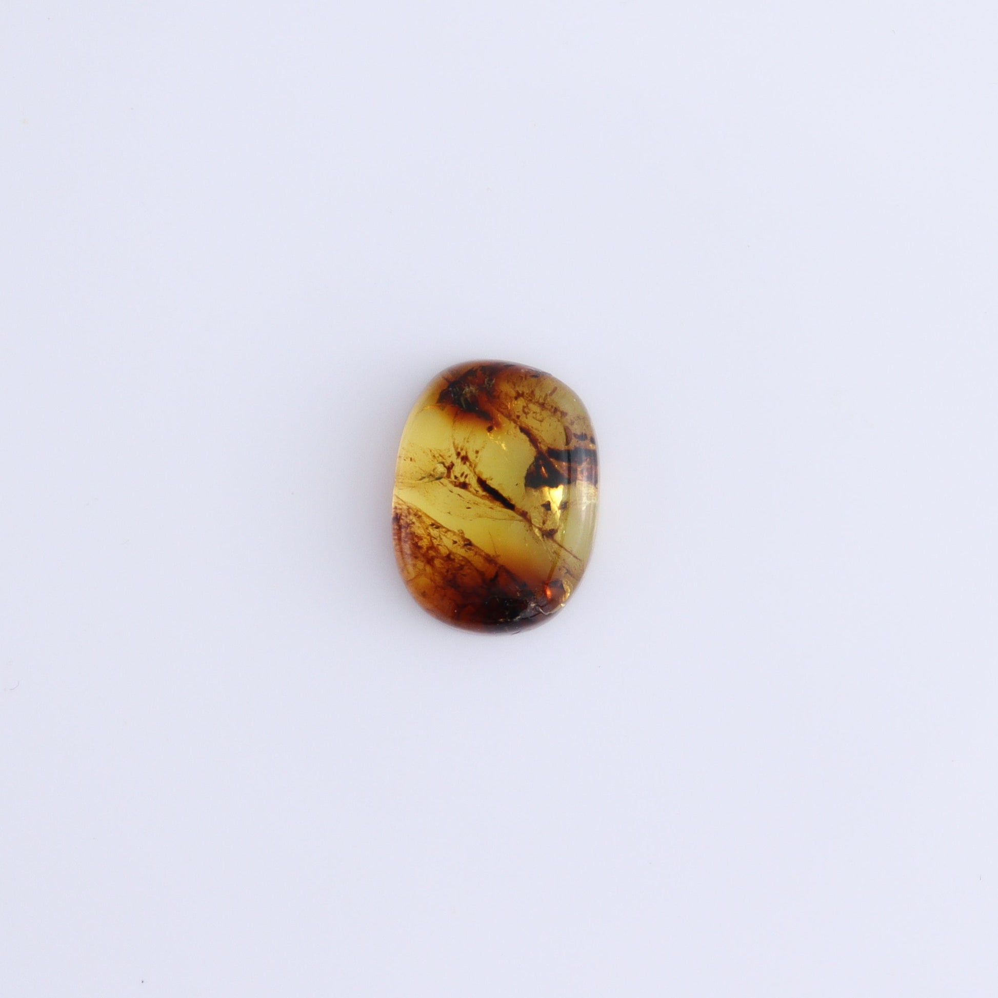 Chiapas Mexico Amber Cabs Set of 8 - Expert Wholesale and Supplier of Wholesale Crystals & Bulk Gemstones, ["Amber","Cabs","Chiapas Amber","Mexico"]