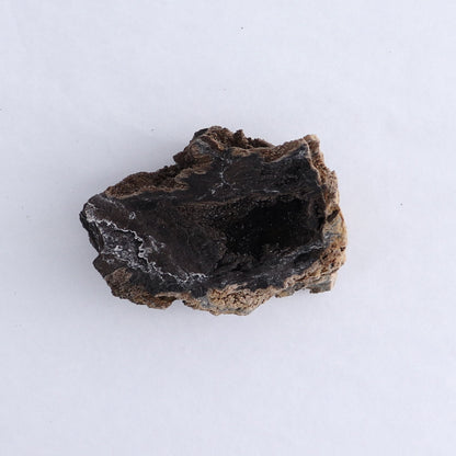 Permineralized Wood Flat of 8 - Expert Wholesale and Supplier of Wholesale Crystals & Bulk Gemstones, ["Indonesia","Permineralized Wood"]