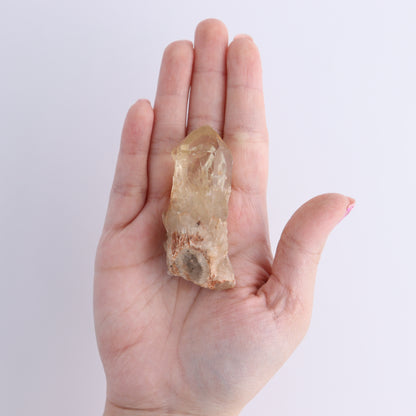 Imperfect Citrine Points Set of 12 - Expert Wholesale and Supplier of Wholesale Crystals & Bulk Gemstones, ["Citrine","Points","Rough","Roughs"]