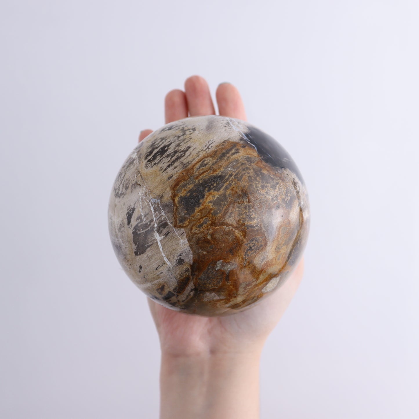 Petrified Wood Spheres Set of 3 - Expert Wholesale and Supplier of Wholesale Crystals & Bulk Gemstones, ["Indonesia","Petrified Wood","Spheres"]