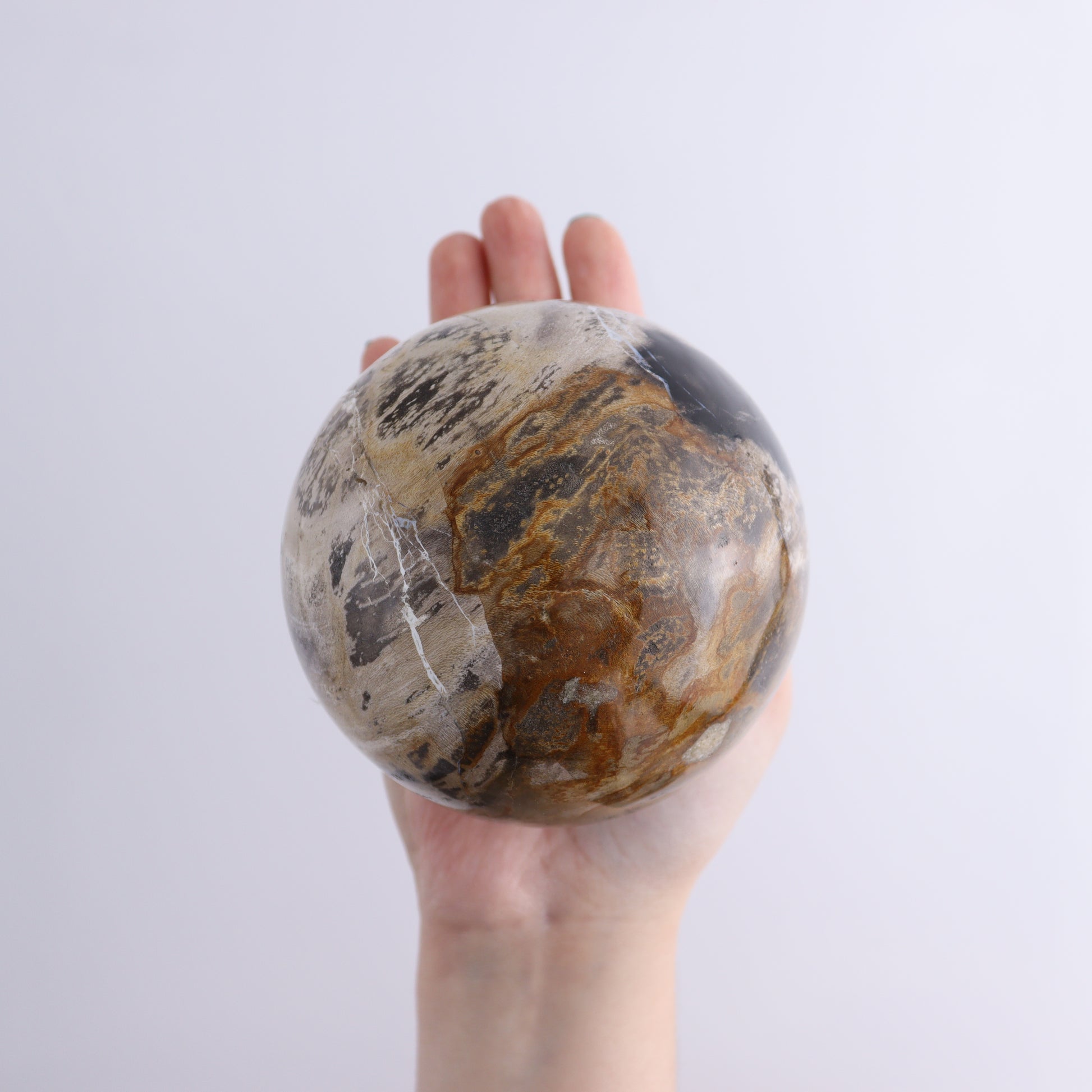 Petrified Wood Spheres Set of 3 - Expert Wholesale and Supplier of Wholesale Crystals & Bulk Gemstones, ["Indonesia","Petrified Wood","Spheres"]