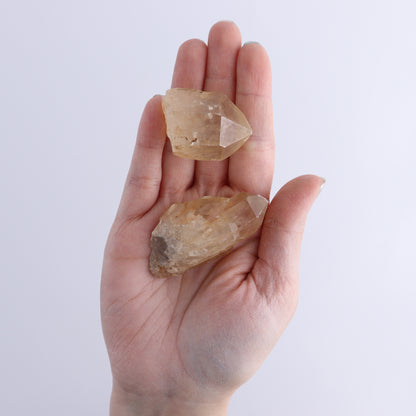 Congo Citrine Set of 20 - Expert Wholesale and Supplier of Wholesale Crystals & Bulk Gemstones, ["Citrine","Congo","Rough","Roughs"]