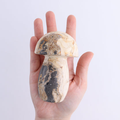 Petrified Wood Mushrooms Set of 4 - Expert Wholesale and Supplier of Wholesale Crystals & Bulk Gemstones, ["Indonesia","Mushrooms","Petrified Wood"]