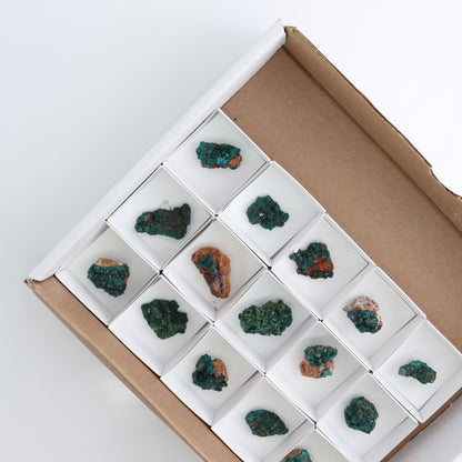 Dioptase Set of 15
