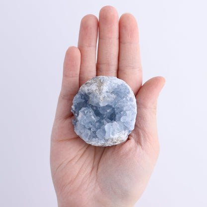 Celestite Clusters Set of 9 - Expert Wholesale and Supplier of Wholesale Crystals & Bulk Gemstones, ["Celestite","Clusters","Freeform"]
