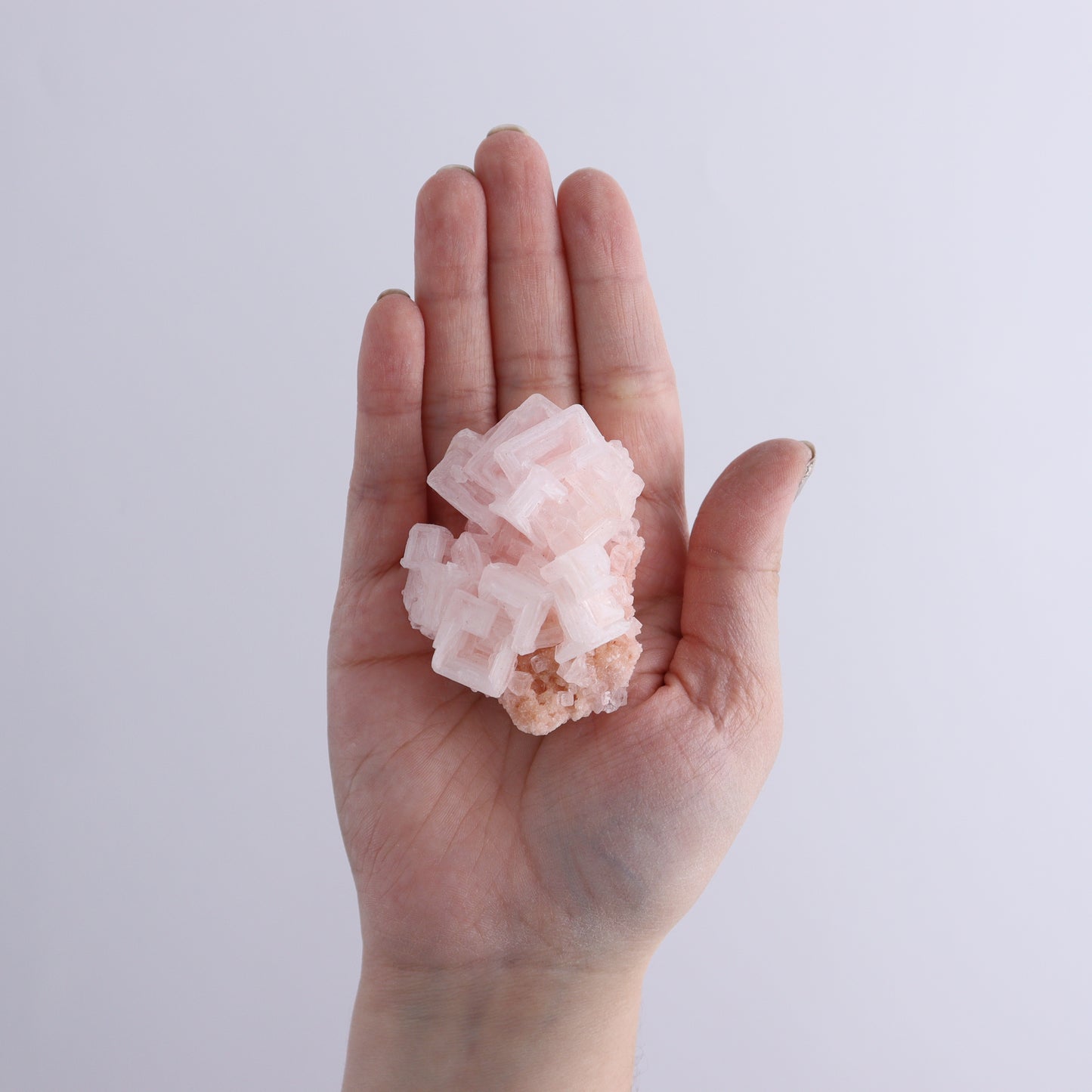 Searles Lake Halite Flat of 6 - Expert Wholesale and Supplier of Wholesale Crystals & Bulk Gemstones, ["Flats","Halite","United States"]