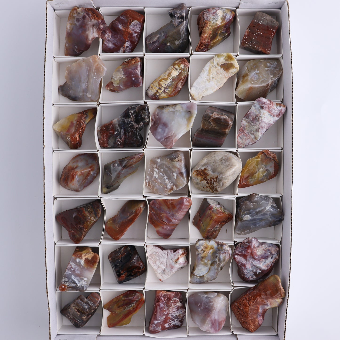 Arizona Petrified Wood Set of 35 - Expert Wholesale and Supplier of Wholesale Crystals & Bulk Gemstones, Arizona Petrified Wood, Freeform, Freeforms, Petrified Wood, United States