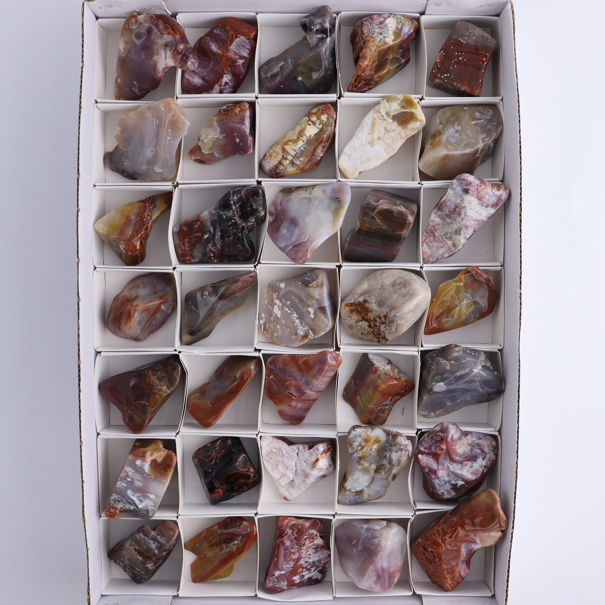 Arizona Petrified Wood Set of 35 - Expert Wholesale and Supplier of Wholesale Crystals & Bulk Gemstones, Arizona Petrified Wood, Freeform, Freeforms, Petrified Wood, United States