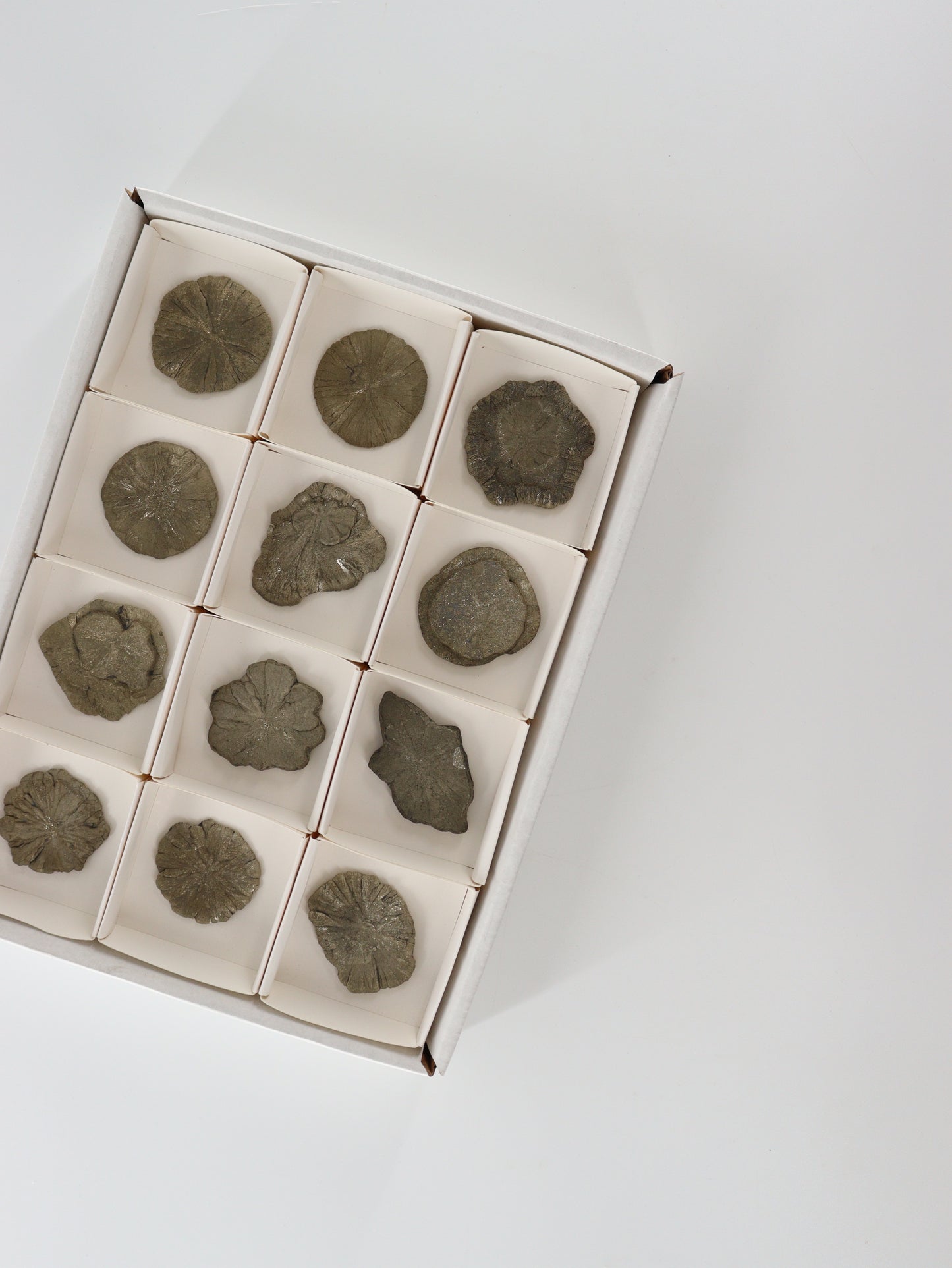 Pyrite Slices and Slabs Set of 12 - Expert Wholesale and Supplier of Wholesale Crystals & Bulk Gemstones, []