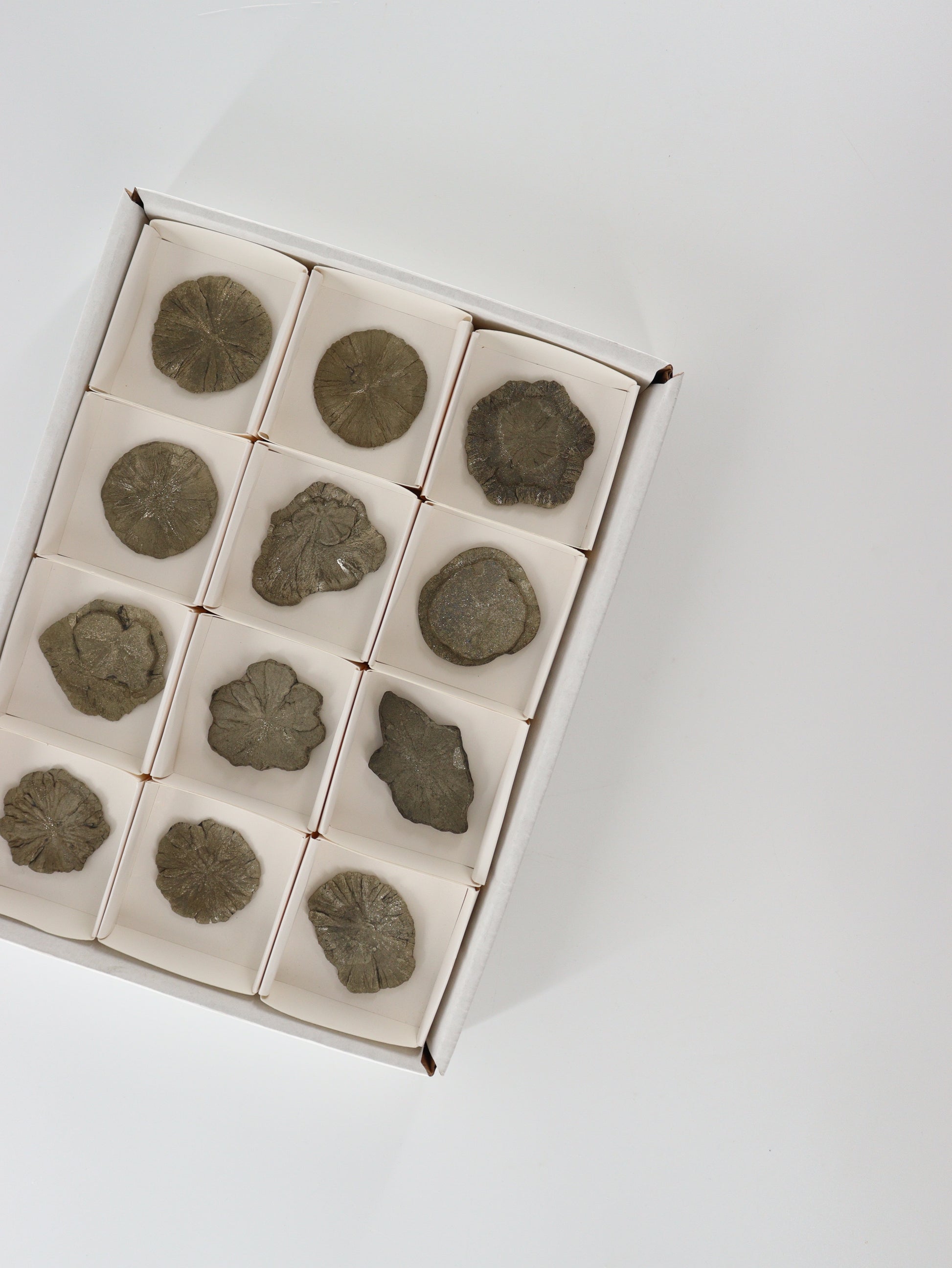 Pyrite Slices and Slabs Set of 12 - Expert Wholesale and Supplier of Wholesale Crystals & Bulk Gemstones, []