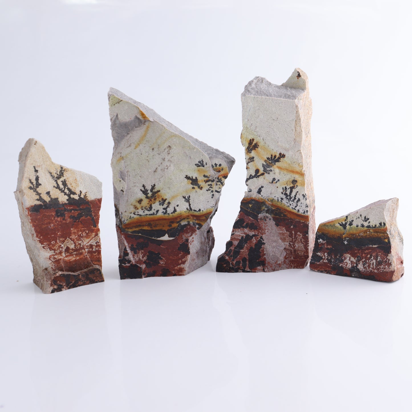 Dendrites Flat Set of 6 - Expert Wholesale and Supplier of Wholesale Crystals & Bulk Gemstones, ["Dendrite","Flats"]