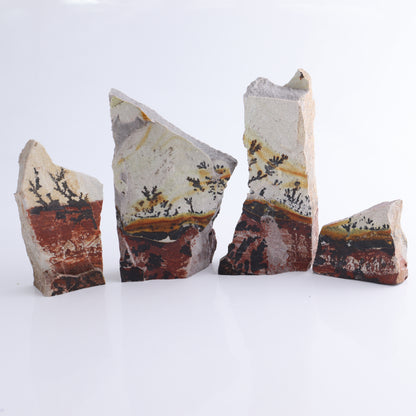 Dendrites Flat Set of 6 - Expert Wholesale and Supplier of Wholesale Crystals & Bulk Gemstones, ["Dendrite","Flats"]