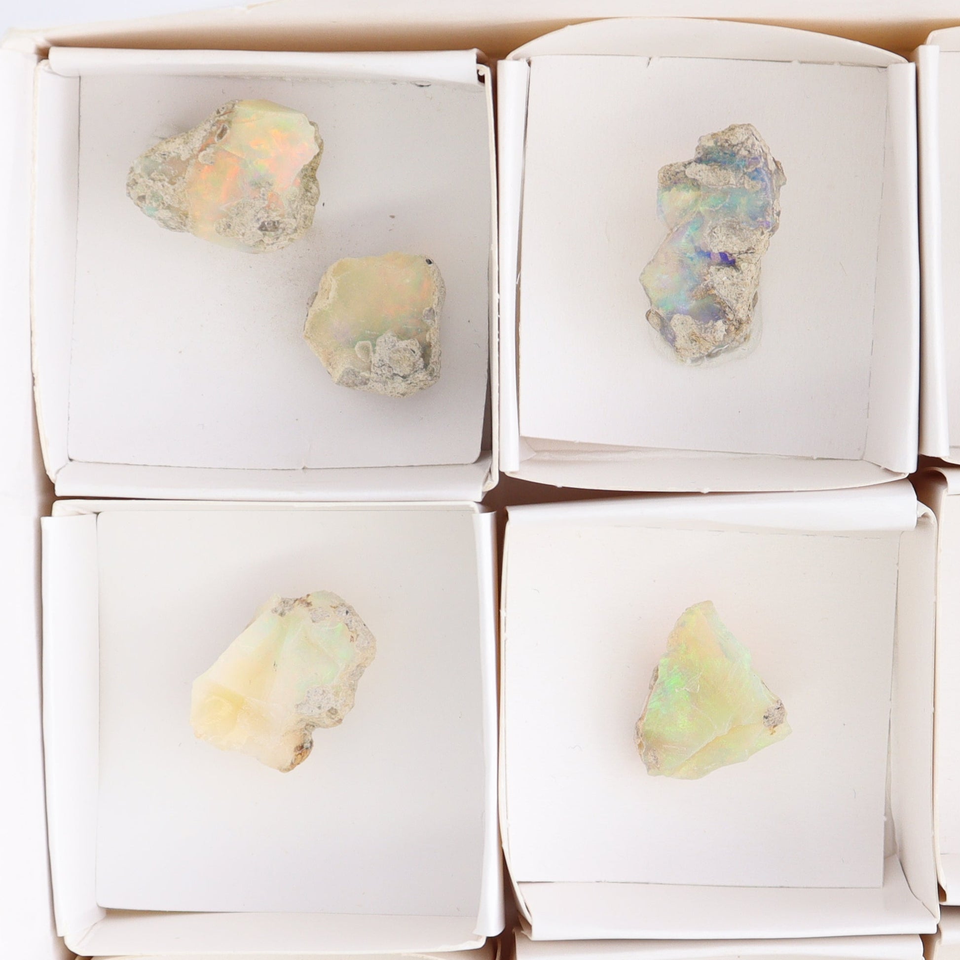 Ethiopian Opal Set of 10 - Expert Wholesale and Supplier of Wholesale Crystals & Bulk Gemstones, ["Ethiopia","ethiopian opal","Opal"]
