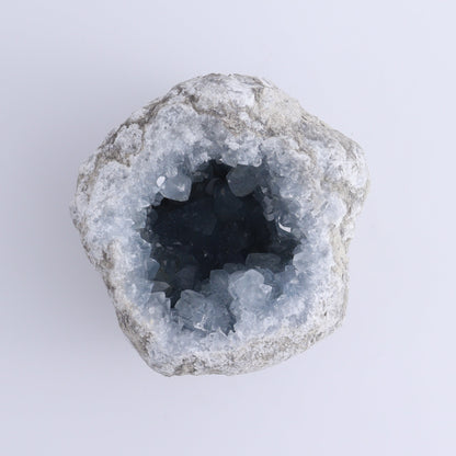 Celestite Cluster - Expert Wholesale and Supplier of Wholesale Crystals & Bulk Gemstones, ["Celestite","Freeform"]