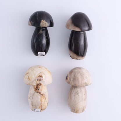 Petrified Wood Mushrooms Set of 4 - Expert Wholesale and Supplier of Wholesale Crystals & Bulk Gemstones, ["Indonesia","Mushrooms","Petrified Wood"]