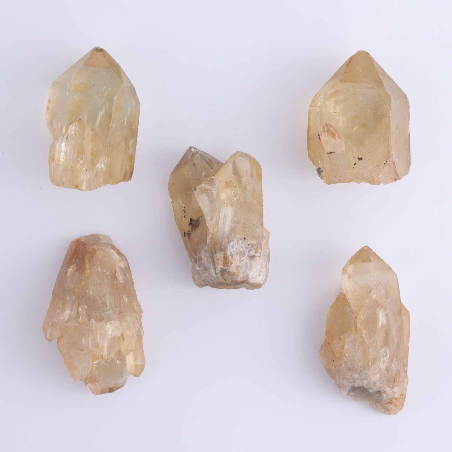 Congo Citrine Set of 20 - Expert Wholesale and Supplier of Wholesale Crystals & Bulk Gemstones, ["Citrine","Congo","Rough","Roughs"]