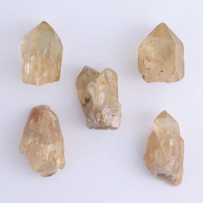 Congo Citrine Set of 20 - Expert Wholesale and Supplier of Wholesale Crystals & Bulk Gemstones, ["Citrine","Congo","Rough","Roughs"]