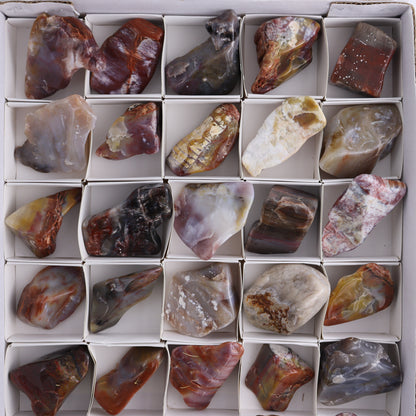 Arizona Petrified Wood Set of 35 - Expert Wholesale and Supplier of Wholesale Crystals & Bulk Gemstones, Arizona Petrified Wood, Freeform, Freeforms, Petrified Wood, United States