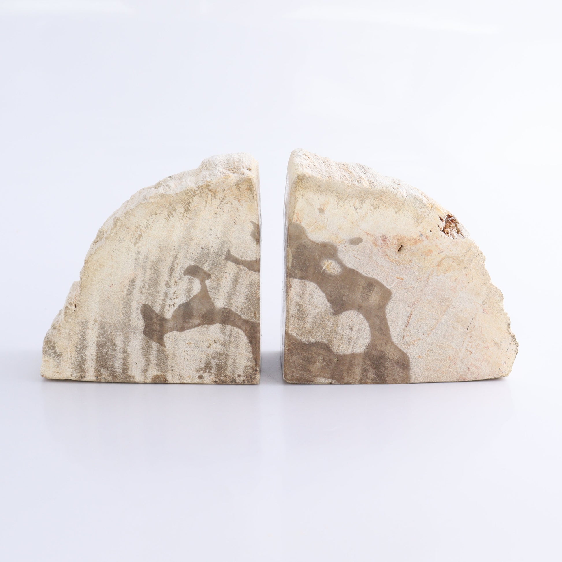 One Pair of White/Grey 1.5-1.7 kg Petrified Wood Bookends - Expert Wholesale and Supplier of Wholesale Crystals & Bulk Gemstones, ["Bookends","Indonesia","Petrified Wood"]