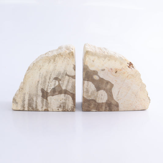 One Pair of White/Grey 1.5-1.7 kg Petrified Wood Bookends - Expert Wholesale and Supplier of Wholesale Crystals & Bulk Gemstones, ["Bookends","Indonesia","Petrified Wood"]