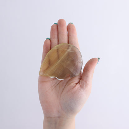 Fluorite Bears set of 6 - Expert Wholesale and Supplier of Wholesale Crystals & Bulk Gemstones, ["Bears","Fluorite","Indonesia","Zuni Bears"]