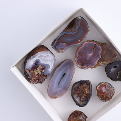 Coyamito Agate Geodes from Mexico Set of 8 - Expert Wholesale and Supplier of Wholesale Crystals & Bulk Gemstones, ["Agate","Coyamito Agate","Geodes","Mexico"]