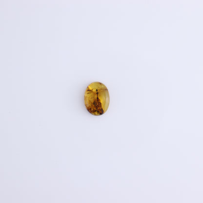 Chiapas Mexico Amber Cabs Set of 8 - Expert Wholesale and Supplier of Wholesale Crystals & Bulk Gemstones, ["Amber","Cabs","Chiapas Amber","Mexico"]