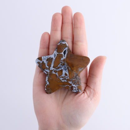 Brecciated Jasper Stars Set of 11 - Expert Wholesale and Supplier of Wholesale Crystals & Bulk Gemstones, ["Brecciated Jasper","Indonesia","stars"]