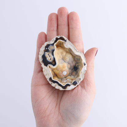 Agatized Coral Flat - Expert Wholesale and Supplier of Wholesale Crystals & Bulk Gemstones, ["Agate","Agatized Coral","Coral","United States"]