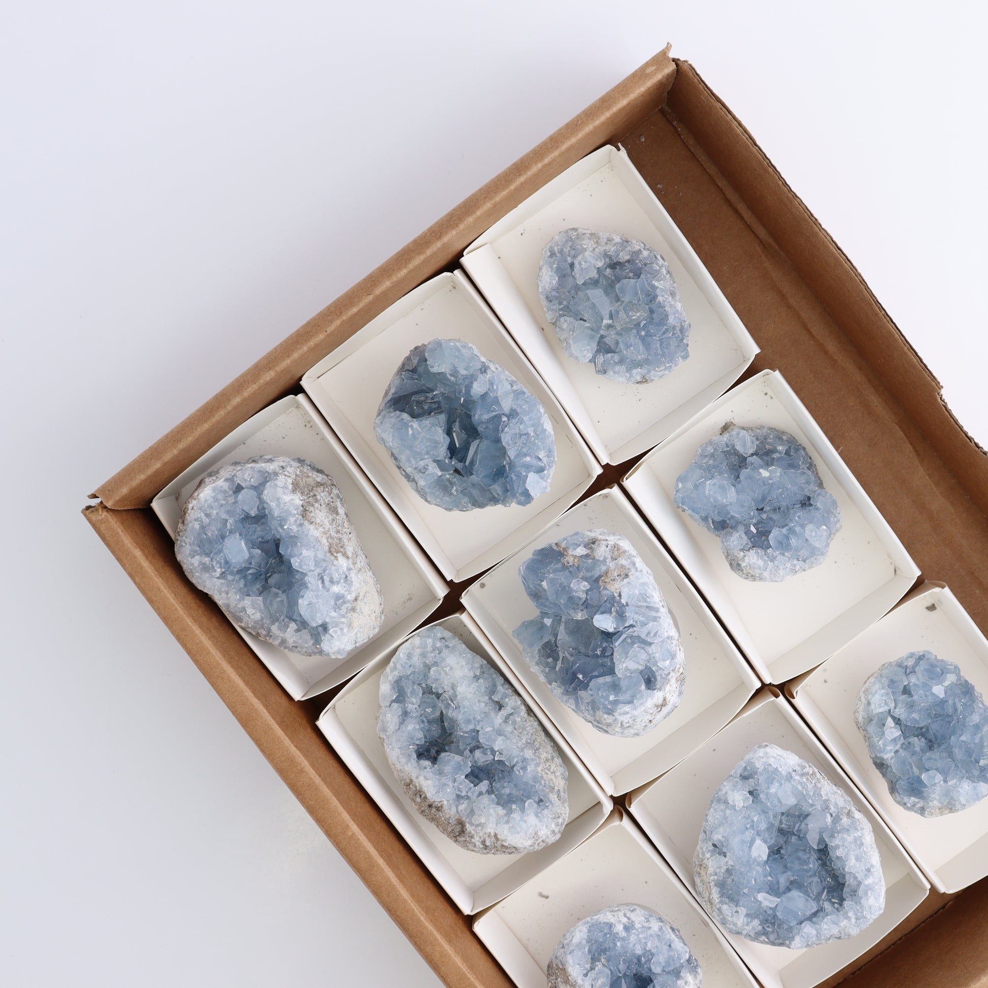 Celestite Clusters Set of 9 - Expert Wholesale and Supplier of Wholesale Crystals & Bulk Gemstones, ["Celestite","Clusters","Freeform"]