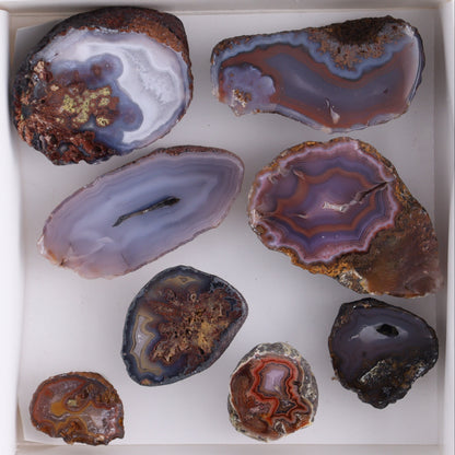 Coyamito Agate Geodes from Mexico Set of 8 - Expert Wholesale and Supplier of Wholesale Crystals & Bulk Gemstones, ["Agate","Coyamito Agate","Geodes","Mexico"]