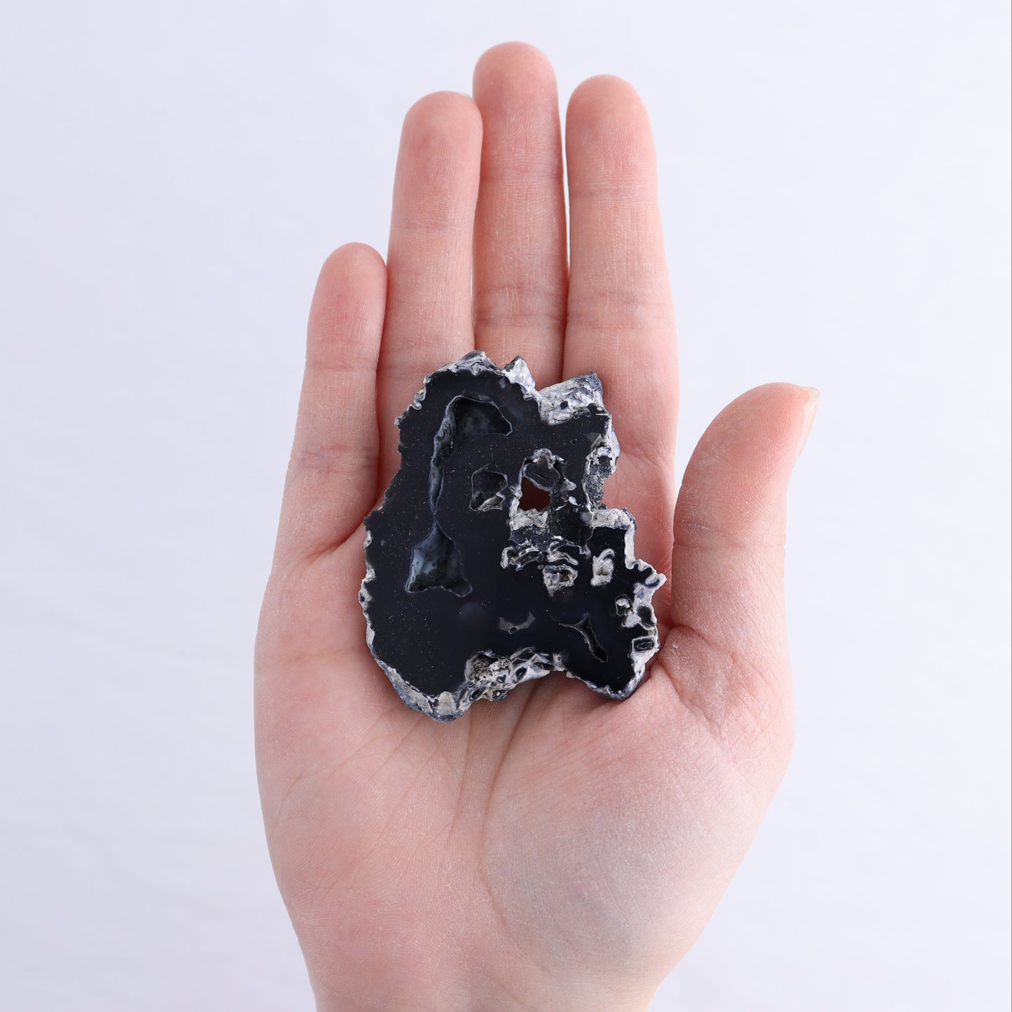 Agatized Coral Flat - Expert Wholesale and Supplier of Wholesale Crystals & Bulk Gemstones, ["Agate","Agatized Coral","Coral","United States"]