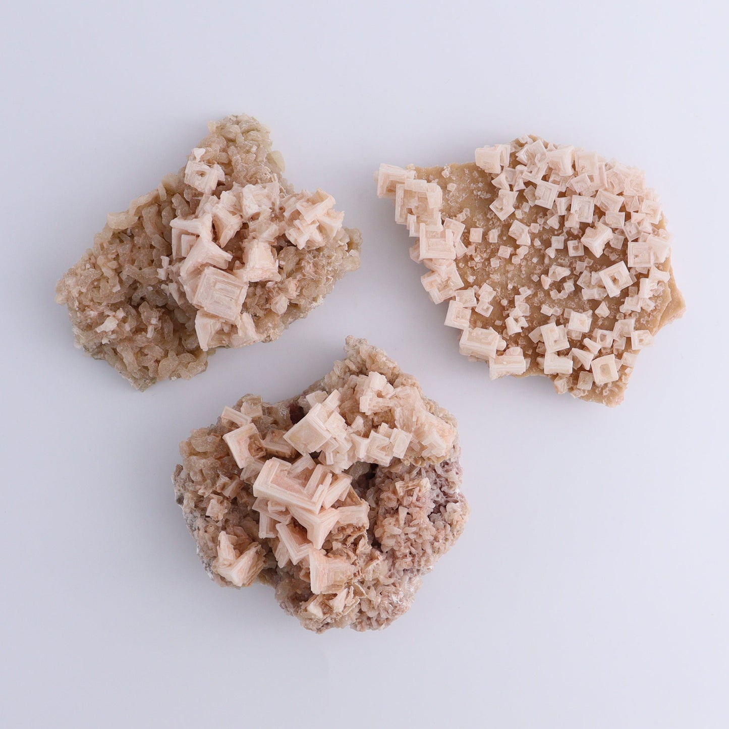 Halite on Trona from Owens Lake Set of 6 - Expert Wholesale and Supplier of Wholesale Crystals & Bulk Gemstones, ["California","Flats","Halite","halite on trona","Pink Halite","United States"]