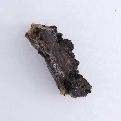 Permineralized Wood Flat of 8 - Expert Wholesale and Supplier of Wholesale Crystals & Bulk Gemstones, ["Indonesia","Permineralized Wood"]