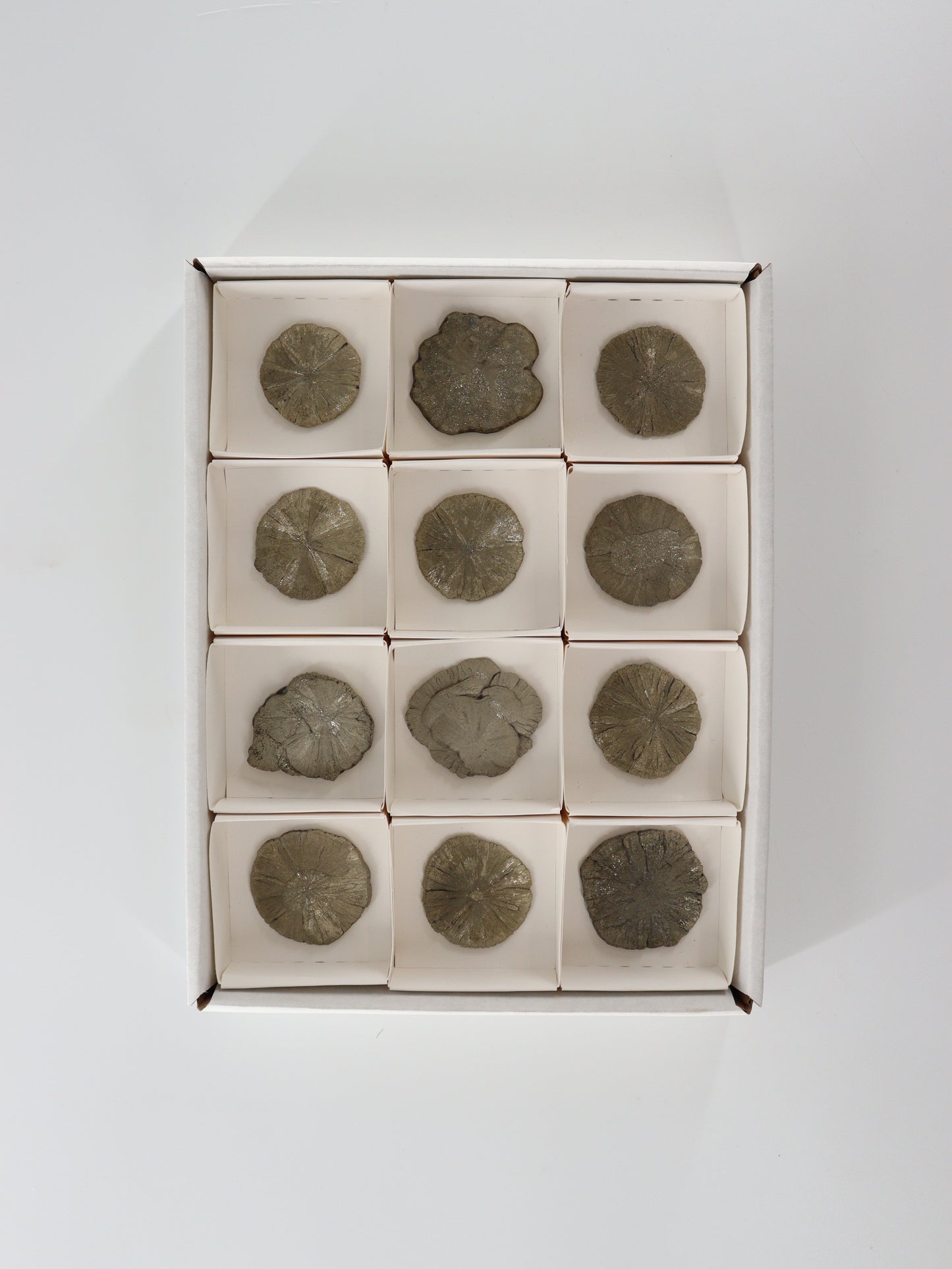 Pyrite Slices and Slabs Set of 12 - Expert Wholesale and Supplier of Wholesale Crystals & Bulk Gemstones, []