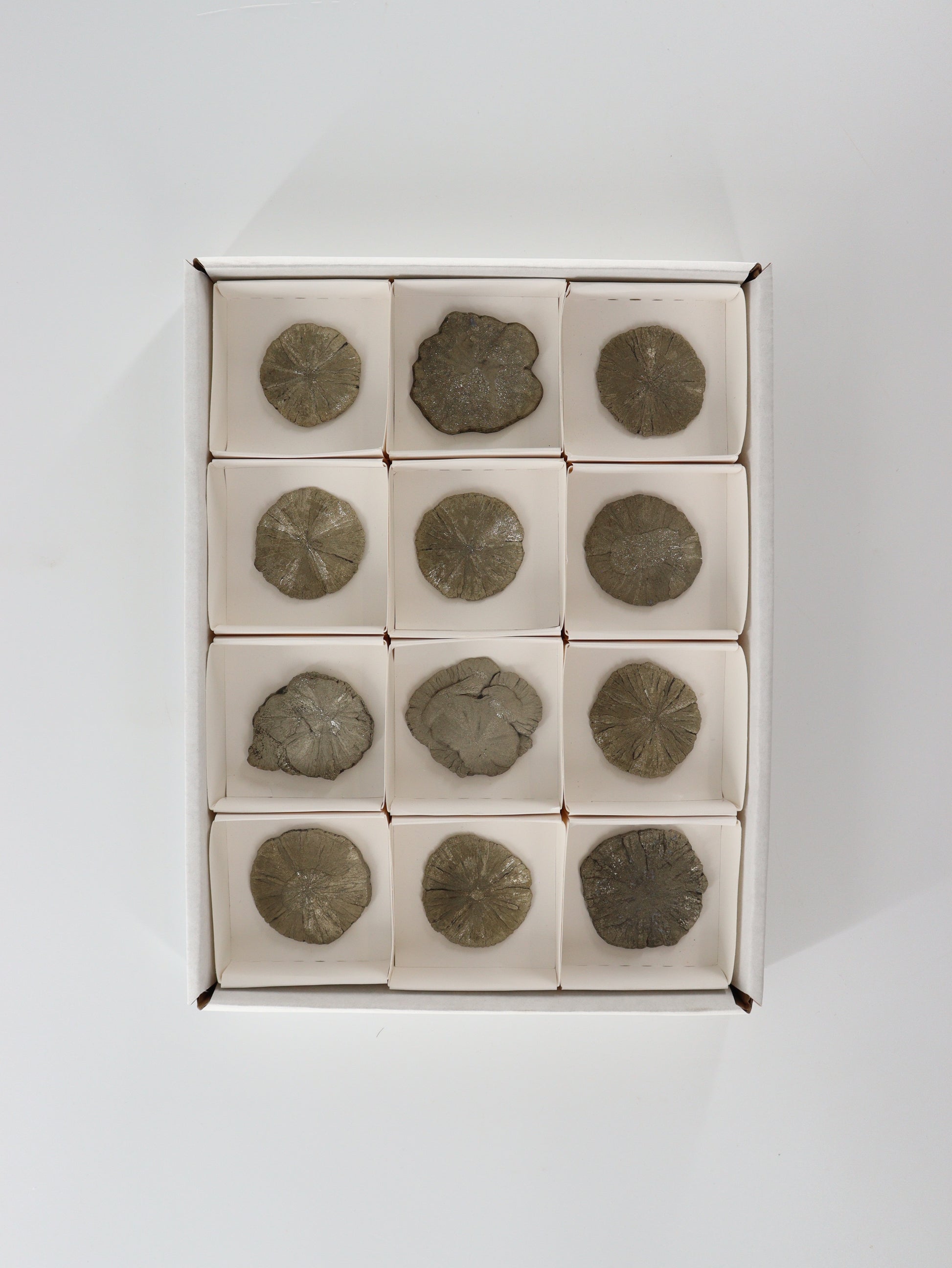 Pyrite Slices and Slabs Set of 12 - Expert Wholesale and Supplier of Wholesale Crystals & Bulk Gemstones, []