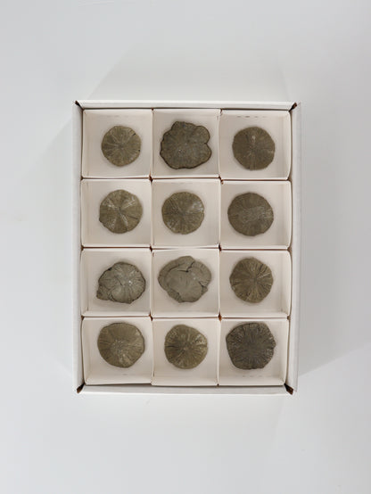 Pyrite Slices and Slabs Set of 12 - Expert Wholesale and Supplier of Wholesale Crystals & Bulk Gemstones, []