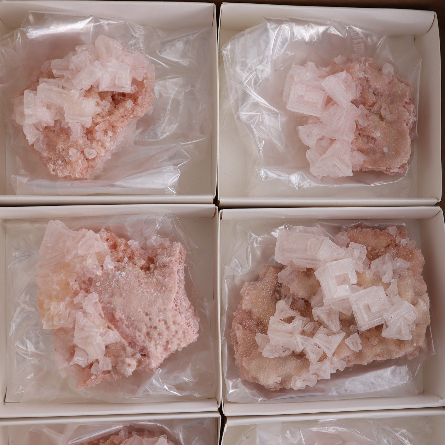 Searles Lake Halite Flat of 6 - Expert Wholesale and Supplier of Wholesale Crystals & Bulk Gemstones, ["Flats","Halite","United States"]