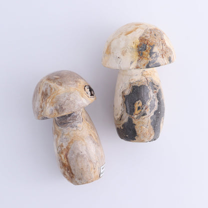 Petrified Wood Mushrooms Set of 4 - Expert Wholesale and Supplier of Wholesale Crystals & Bulk Gemstones, ["Indonesia","Mushrooms","Petrified Wood"]