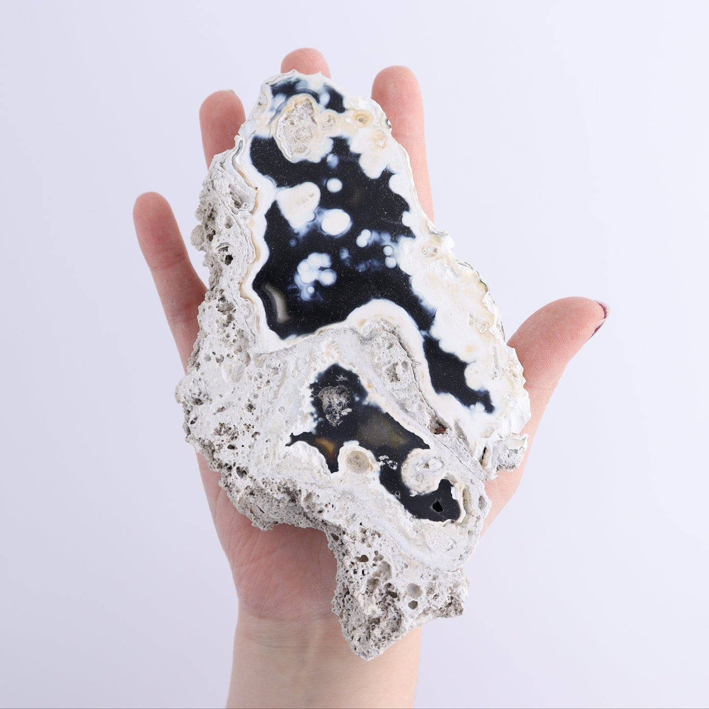 Agatized Coral Flat - Expert Wholesale and Supplier of Wholesale Crystals & Bulk Gemstones, ["Agate","Agatized Coral","Coral","United States"]